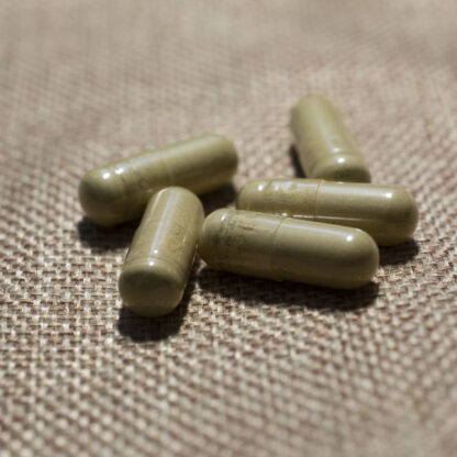 20% MIT 100mg - 5 Caps -2